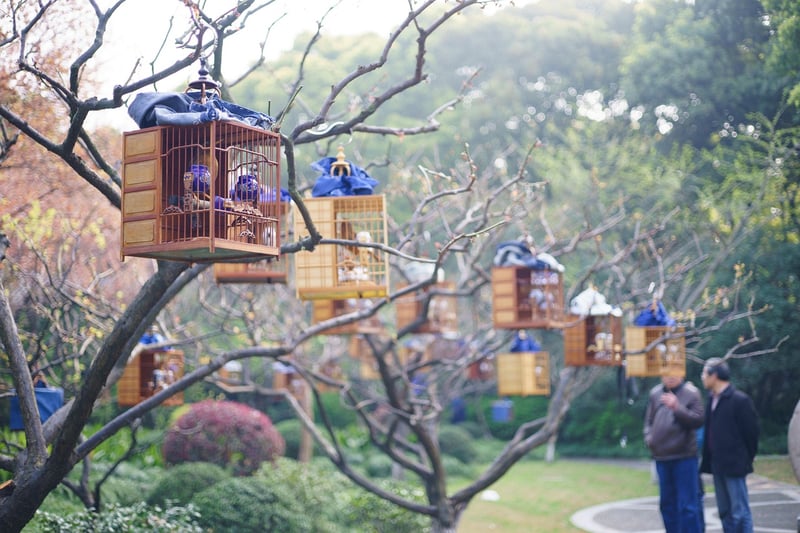 Vintage Birdcages